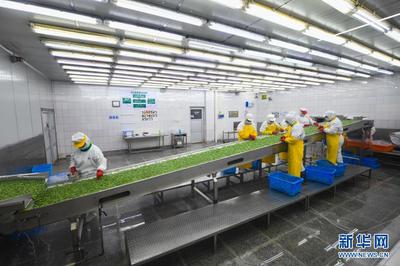 浙江慈溪推進(jìn)高效集約現(xiàn)代農(nóng)業(yè)發(fā)展