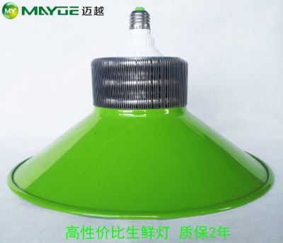 工礦燈/生鮮燈套件：專業(yè)豬肉燈外殼，提升生鮮展示照明效果