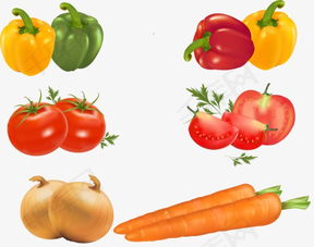 免費(fèi)高清PNG蔬菜素材 千庫(kù)網(wǎng)圖片編號(hào)4696975詳解