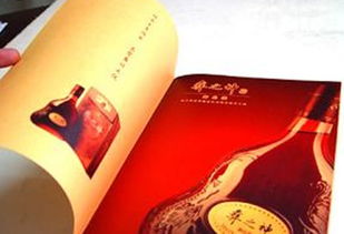 廈門廣告印刷全解析 設計、生產與價格指南